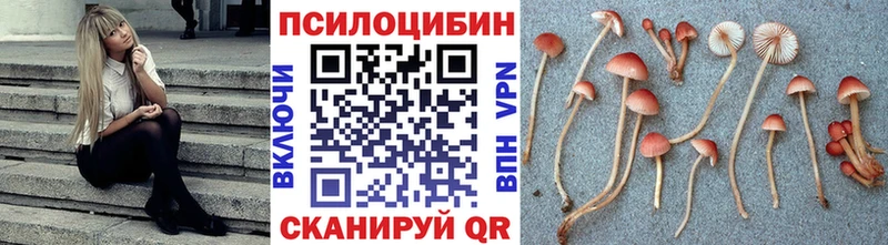 что такое   Макарьев  Псилоцибиновые грибы Psilocybine cubensis 